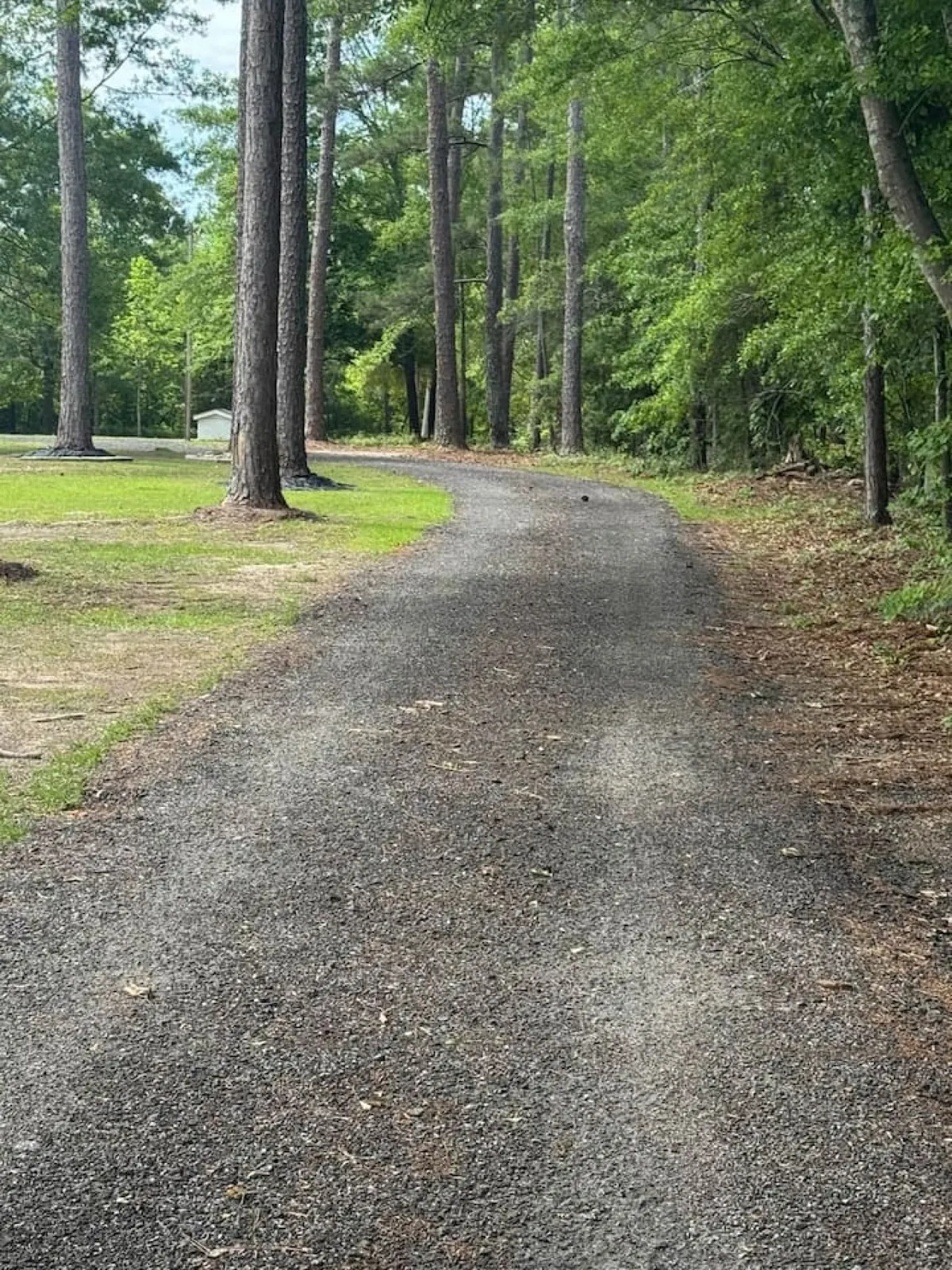 A gravel pathway meanders through tall trees and dense greenery, inviting exploration. The scene is serene and evokes quiet walks, birdwatching, and connecting with the outdoors.